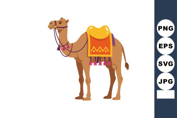 Camel with Decorative Saddle and Harness: Graphics for Editorial Use