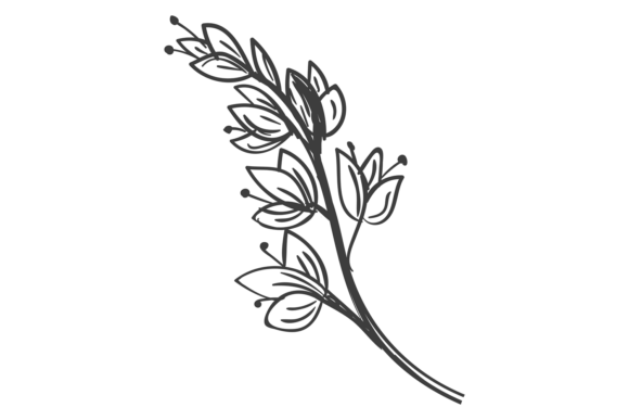 Decorative Botany Branch with Blooming F: Graphics for Creative Design