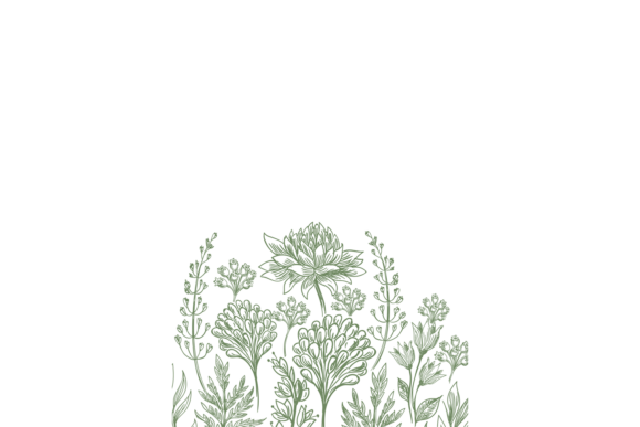 Hand Drawn Flower Card. Decorative Vinta Graphics