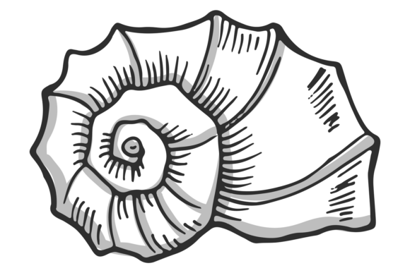 Snail Shell Hand Drawn Icon: Graphics & Illustrations for Crafters